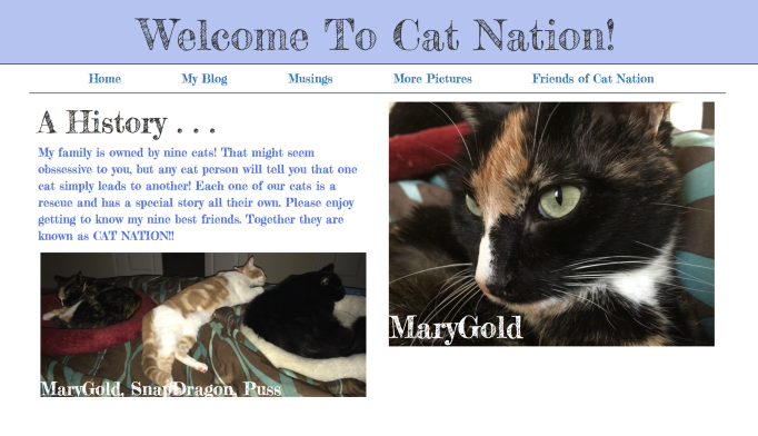 The redesigned Cat Nation Home Page.